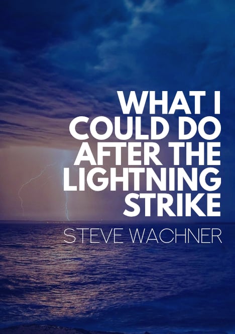 What I Could Do After the Lightning Strike by Steve Wachner